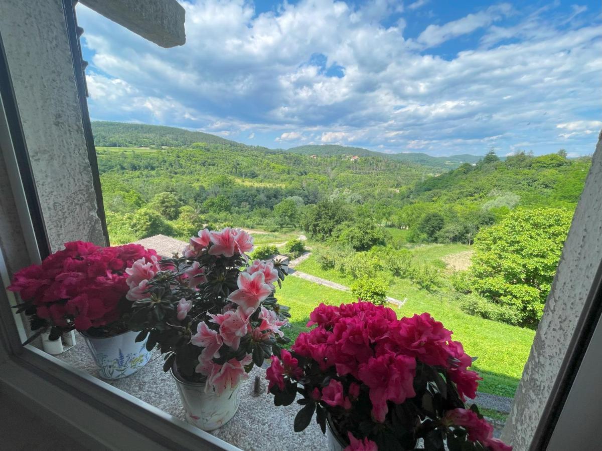 Apartment Kastel Pazin Εξωτερικό φωτογραφία