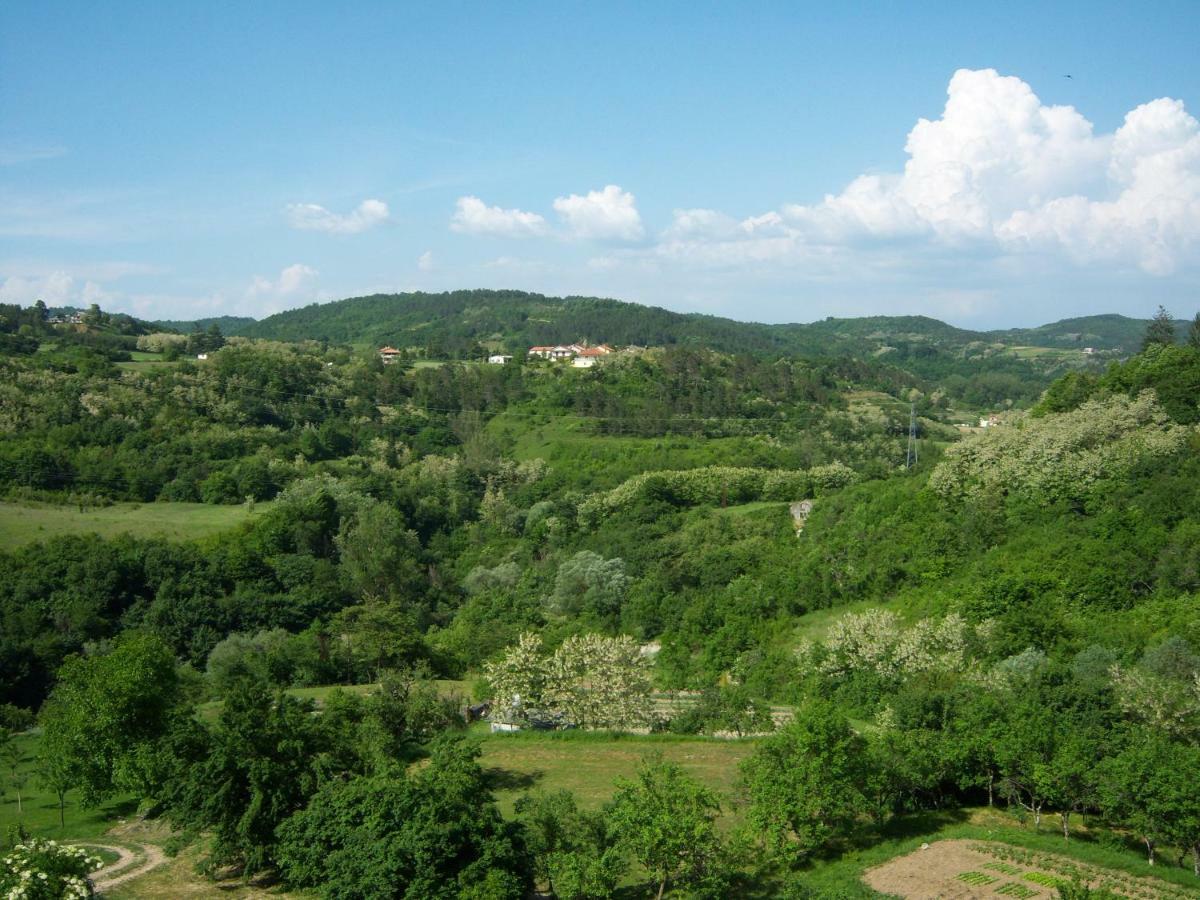 Apartment Kastel Pazin Εξωτερικό φωτογραφία